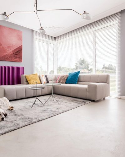 dog-in-a-house-interior-1.jpg